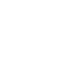 Soccer Icon